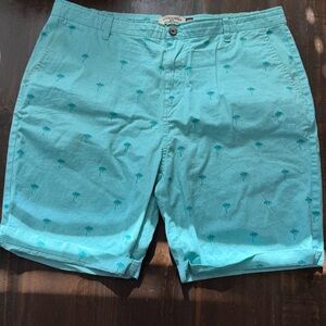Hudson & Barrow NYC Aqua Palm Print Dress Shorts - 38